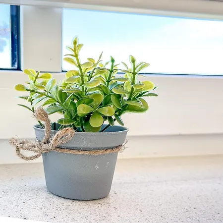 Apartman Baltischer Hof 52