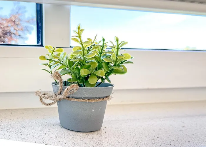 Appartement Baltischer Hof 52